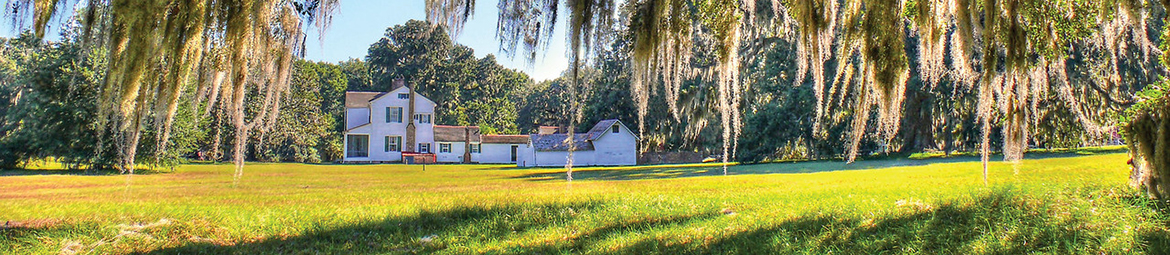 Hofwyl-Broadfield Plantation State Historic Site | Georgia Birding ...