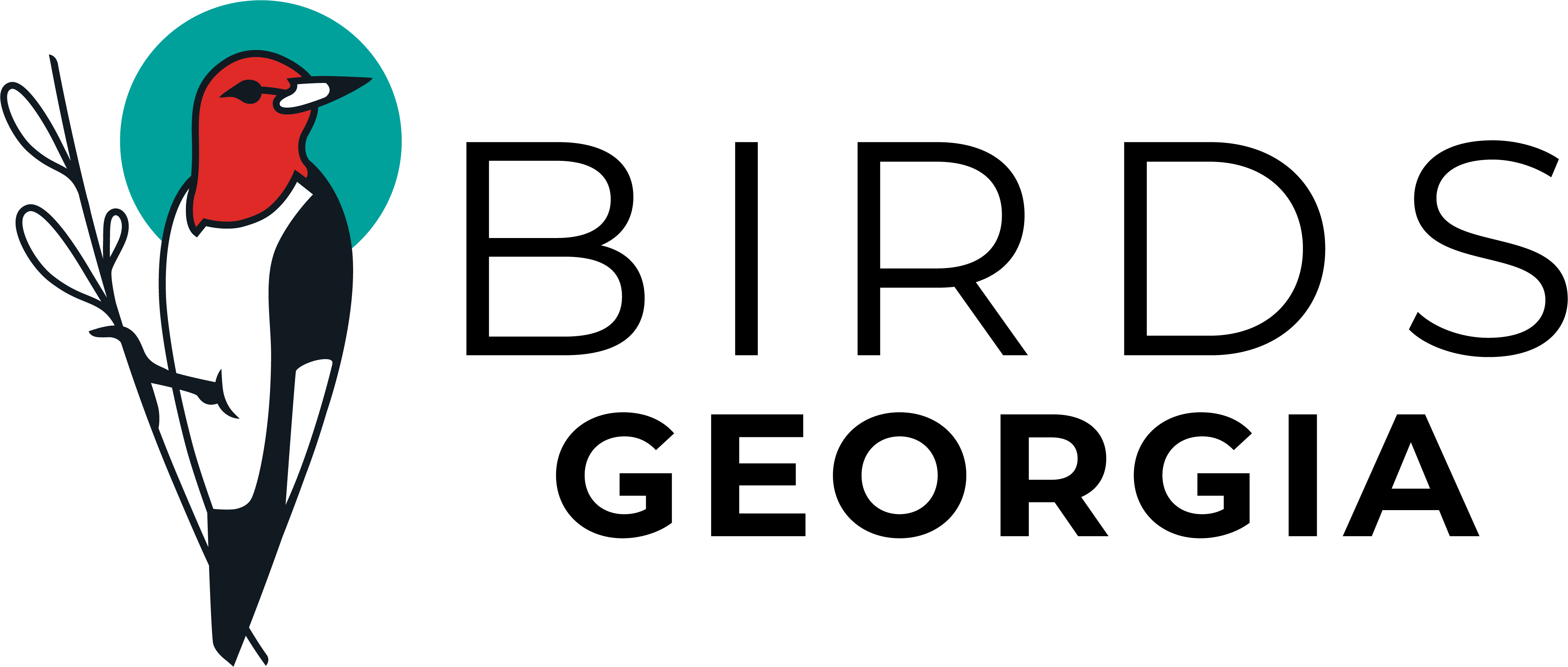 Birds Georgia logo