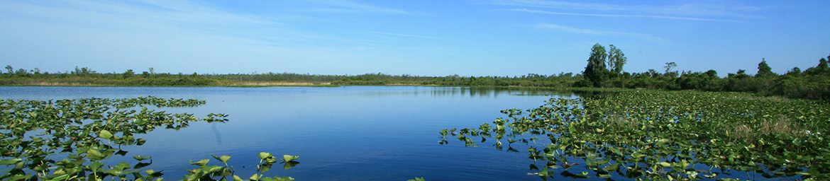 Bluff Lake (Alan Cressler) Bluff Lake